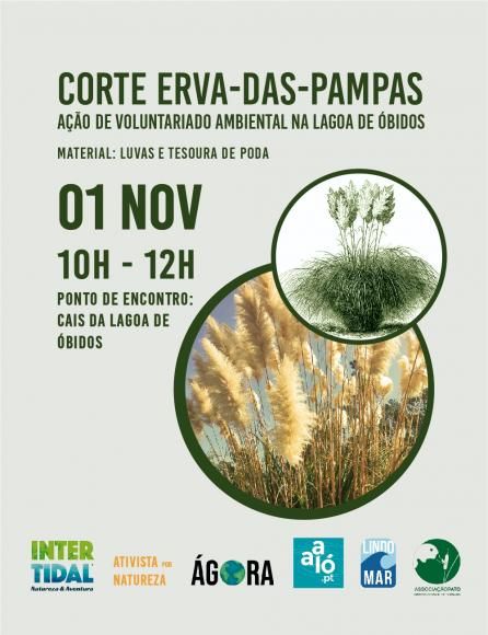 A&ccedil;&atilde;o de voluntariado ambiental na Lagoa de &Oacute;bidos - 1 de novembro, das 10h &agrave;s 12h
